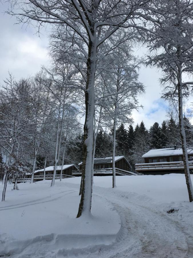Le Voyageur Villa Murringen Buitenkant foto